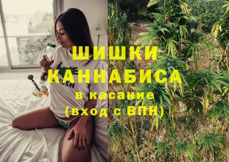 Бошки Шишки SATIVA & INDICA  Малая Вишера 